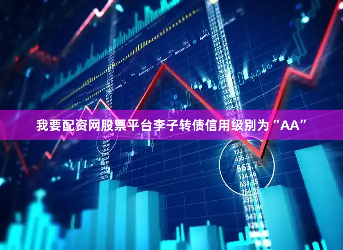 我要配资网股票平台李子转债信用级别为“AA”